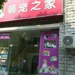 萌宠之十家:上海城区闵行区颛桥/北桥附近