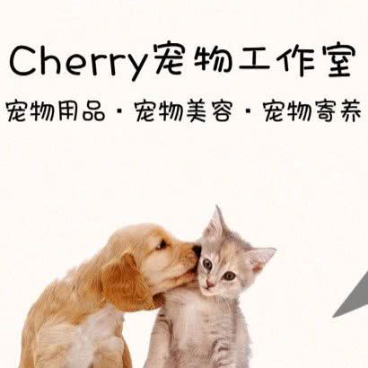 Cherry宠物工作室:上海城区闵行区华漕附近