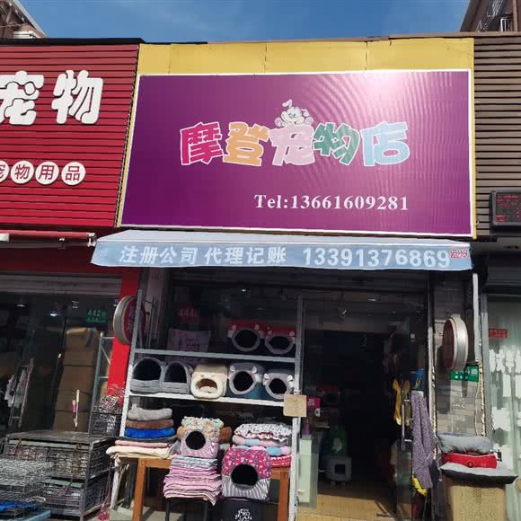 摩登宠物店:上海城区闵行区虹桥火车站/国展中心附近