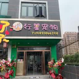 太阳系宠物:上海城区闵行区虹桥火车站/国展中心附近