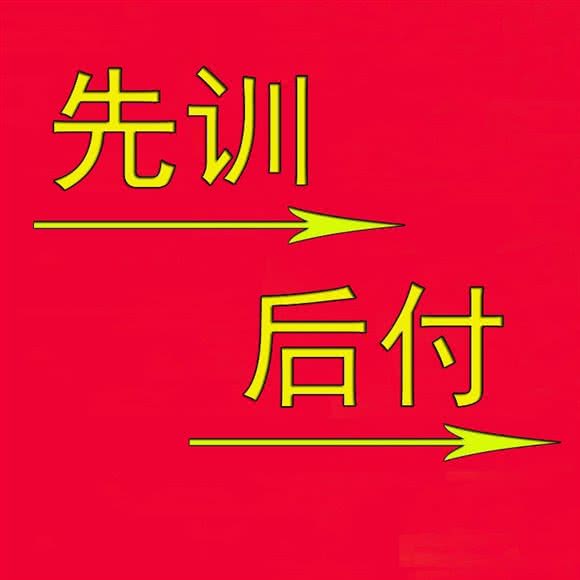 恋宝艺犬堂宠物训练寄养学校:上海城区闵行区唐湾镇/曹行镇附近