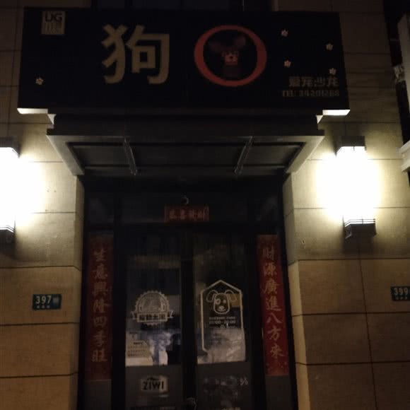 爱宠沙龙:上海城区闵行区闵行开发区附近
