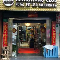 米琪王萌宠工作室:上海城区宝山区宝山城区/吴淞附近