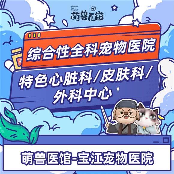 萌兽医馆·宝江宠物医院·特色心脏科·皮肤科·外科中心:上海城区宝山区宝山城区/吴淞附近