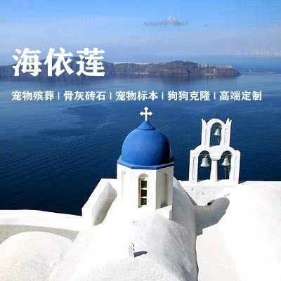 海依莲宠物火化殡葬服务:上海城区宝山区庙行/共康附近