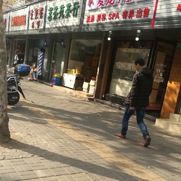 爱宠小屋:上海城区宝山区庙行/共康附近