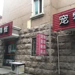 古灵精怪宠物之家:上海城区宝山区通河/泗塘附近