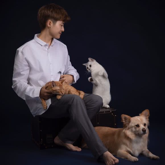 YUMOREAL以慕宠物·工作室:上海城区宝山区顾村公园附近