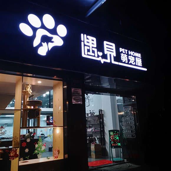 遇见萌宠屋:上海城区宝山区顾村公园附近