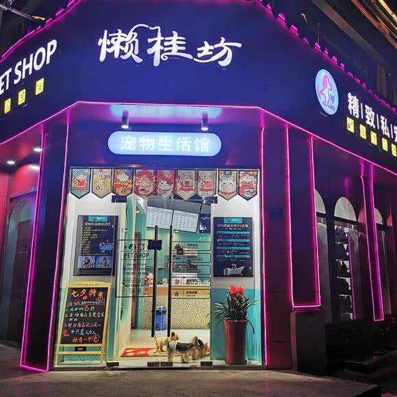 THE PET SHOP懒桂坊精致私宠:上海城区宝山区顾村公园附近