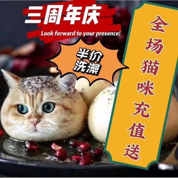 炎鑫宠物连锁店:上海城区宝山区顾村公园附近