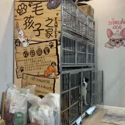 毛孩子之家:上海城区宝山区顾村公园附近