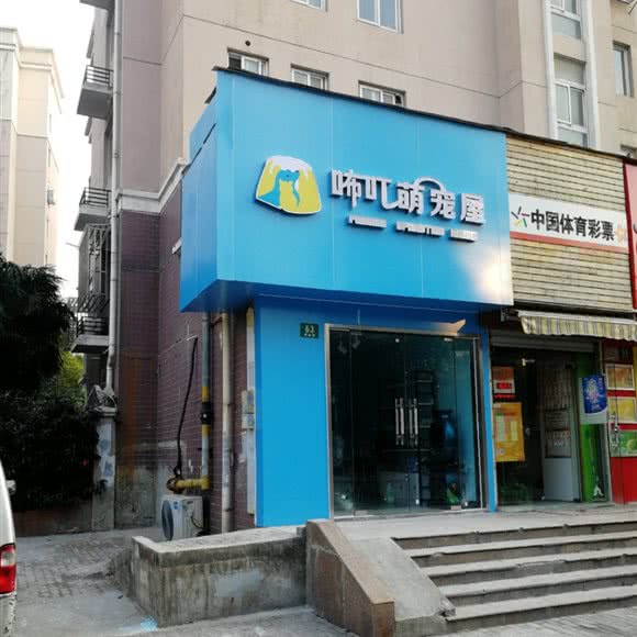 咘叮萌宠屋:上海城区宝山区顾村公园附近