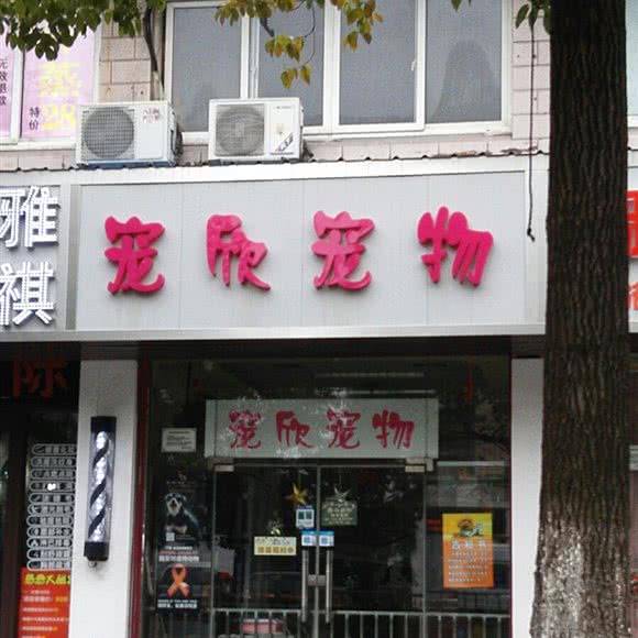 宠欣生活馆:上海城区宝山区顾村公园附近