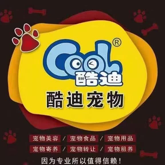 酷迪宠物(上地店):北京城区海淀区上地附近