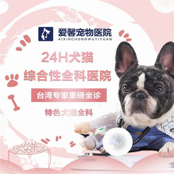 上海爱馨宠物医院·24H·骨外科·犬猫全科:上海城区宝山区顾村公园附近