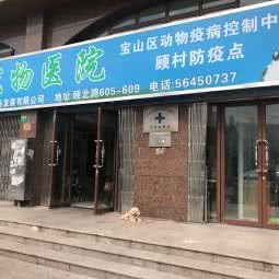 宠物医院(顾村店):上海城区宝山区顾村公园附近