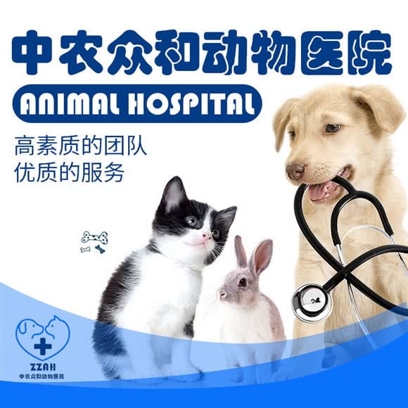 中农众和动物医院:北京城区海淀区上地附近