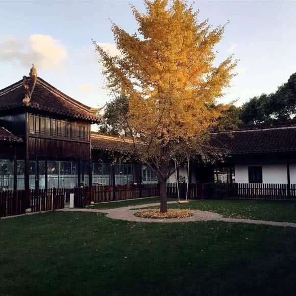 功夫汪宠物寄养训练乐园(宝山店):上海城区宝山区美兰湖附近