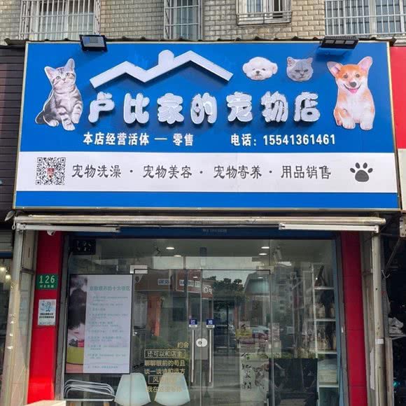卢比家的宠物店:上海城区宝山区美兰湖附近