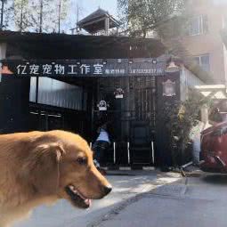 亿宠宠物狗工作室:上海城区宝山区美兰湖附近