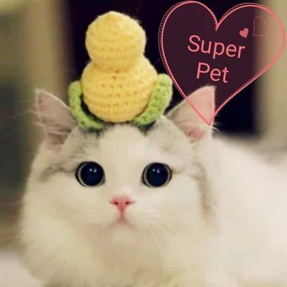 赛派·宠物美容猫狗专卖旗舰店(美康路店):上海城区宝山区美兰湖附近