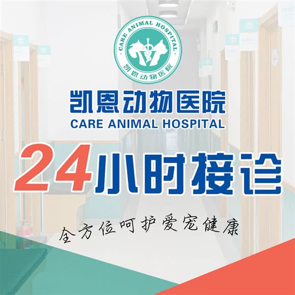 凯恩动物医院(安杺分院):北京城区海淀区上地附近