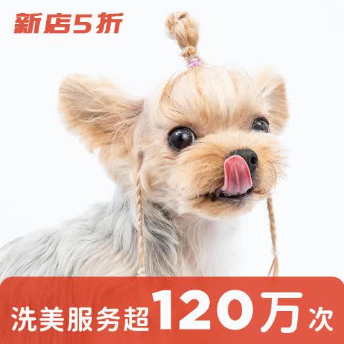 宠物家(朗香花园店):上海城区宝山区上海大学附近