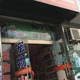 唯一宠物狗:上海城区宝山区上海大学附近