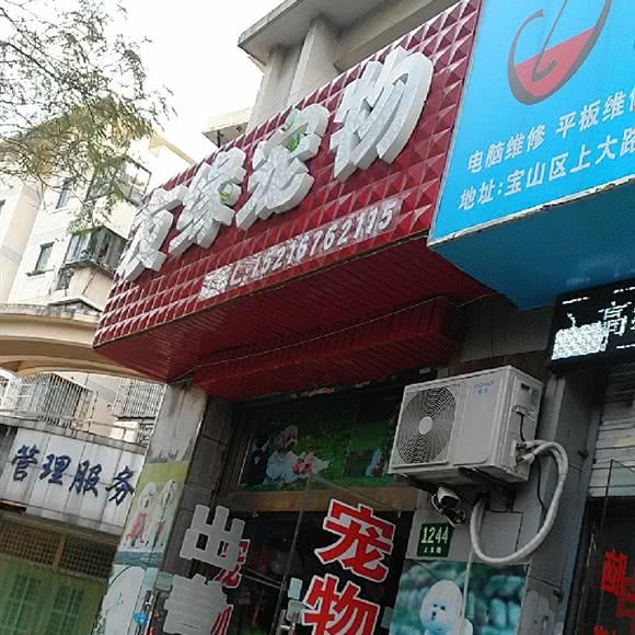 友缘宠物:上海城区宝山区上海大学附近