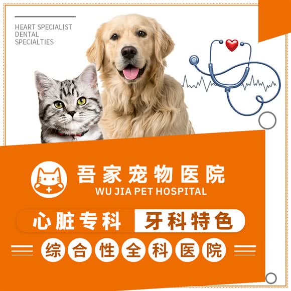 吾家宠物医院·心脏彩超·宠物疫苗·骨外科:上海城区宝山区上海大学附近