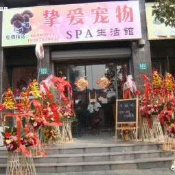 挚爱宠物会所:上海城区宝山区淞南附近