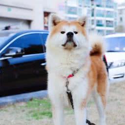 summer工作室:上海城区宝山区淞南附近