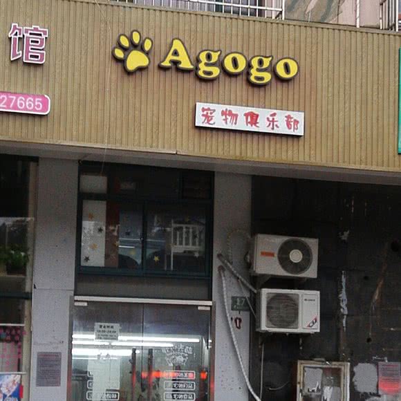 Agogo宠物俱乐部:上海城区宝山区淞南附近