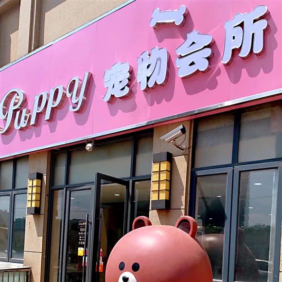 puppy宠物会所:上海城区宝山区杨行镇附近