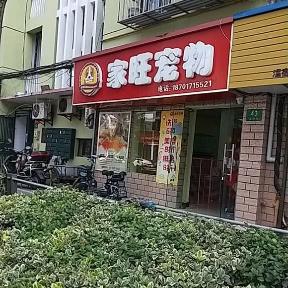家旺宠物:上海城区嘉定区嘉定镇附近