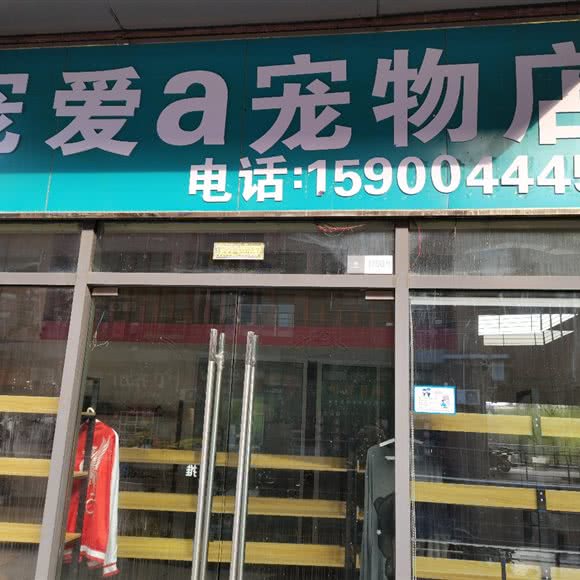 宠爱a宠物店:上海城区嘉定区嘉定镇附近