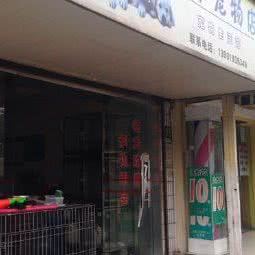 旺家宠物店:上海城区嘉定区嘉定镇附近