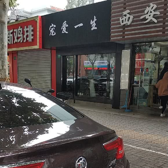 宠爱一生:上海城区嘉定区嘉定镇附近