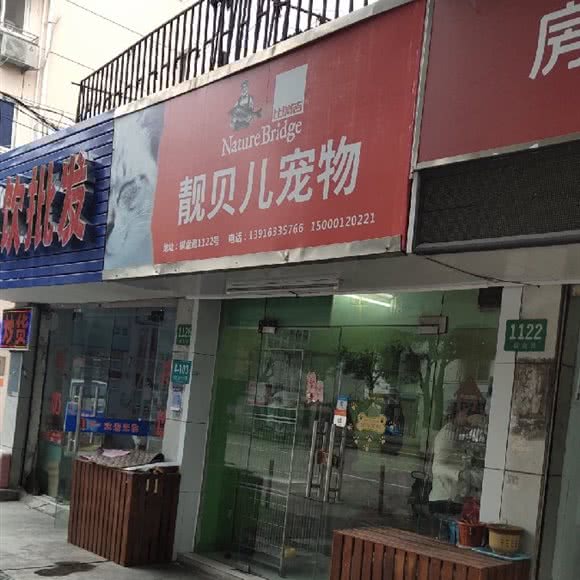 靓贝儿宠物:上海城区嘉定区嘉定镇附近