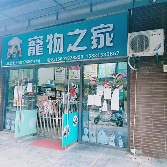宠物之家:上海城区嘉定区嘉定镇附近