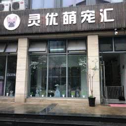 灵优萌宠汇:上海城区嘉定区嘉定镇附近