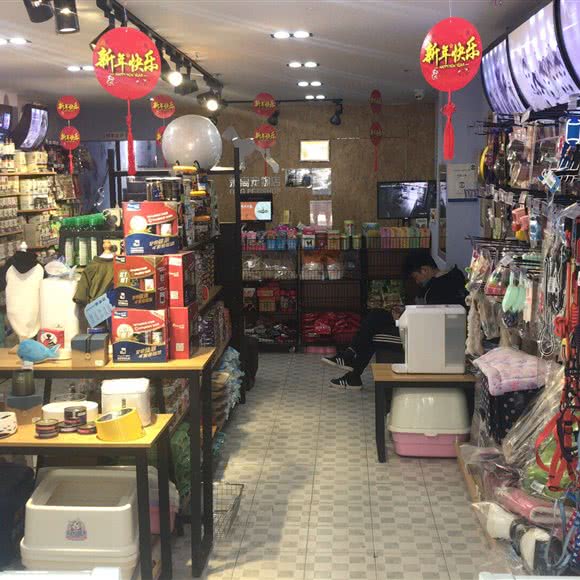 茉离宠物:上海城区嘉定区嘉定镇附近