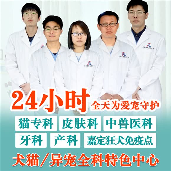 上海顺强宠物诊所(嘉定店):上海城区嘉定区嘉定镇附近