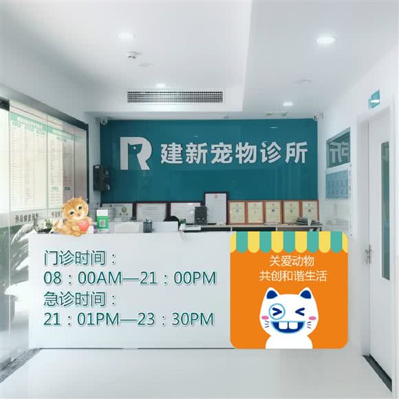 建新宠物医院·内视镜微创中心·猫科骨折镭射理疗(塔城东路店):上海城区嘉定区嘉定镇附近