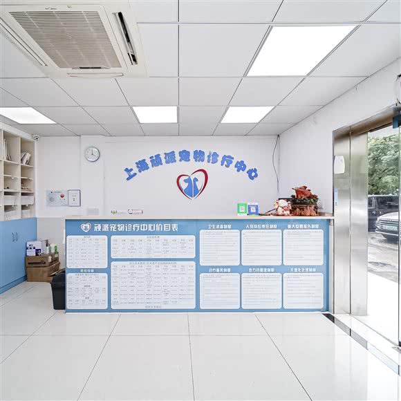 顽派宠物诊所:上海城区嘉定区嘉定镇附近