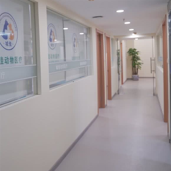 城佳动物医疗:上海城区嘉定区嘉定镇附近