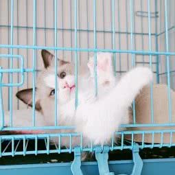 妙旺玲珑阁:上海城区嘉定区梅川路步行街附近