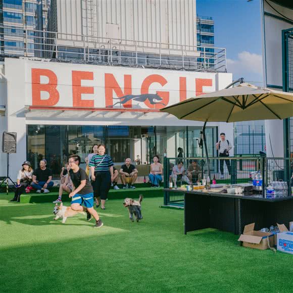 班吉宠物酒店&学校 BENGIE PET(真北店):上海城区嘉定区梅川路步行街附近