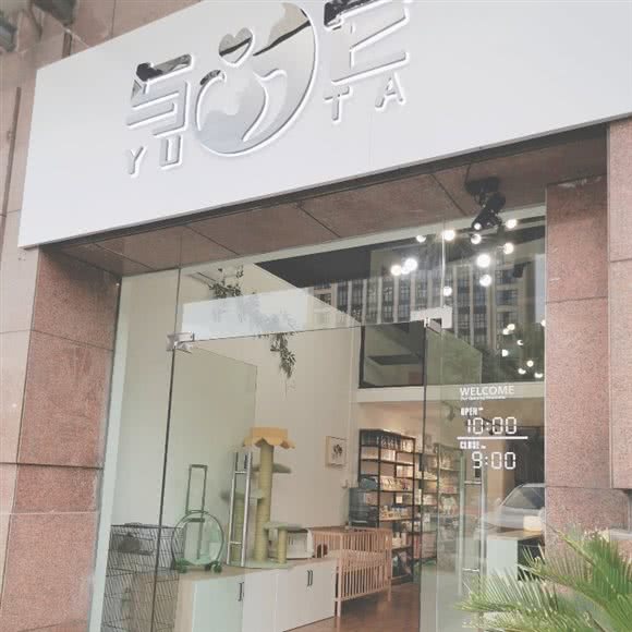 与它宠物:上海城区嘉定区南翔附近